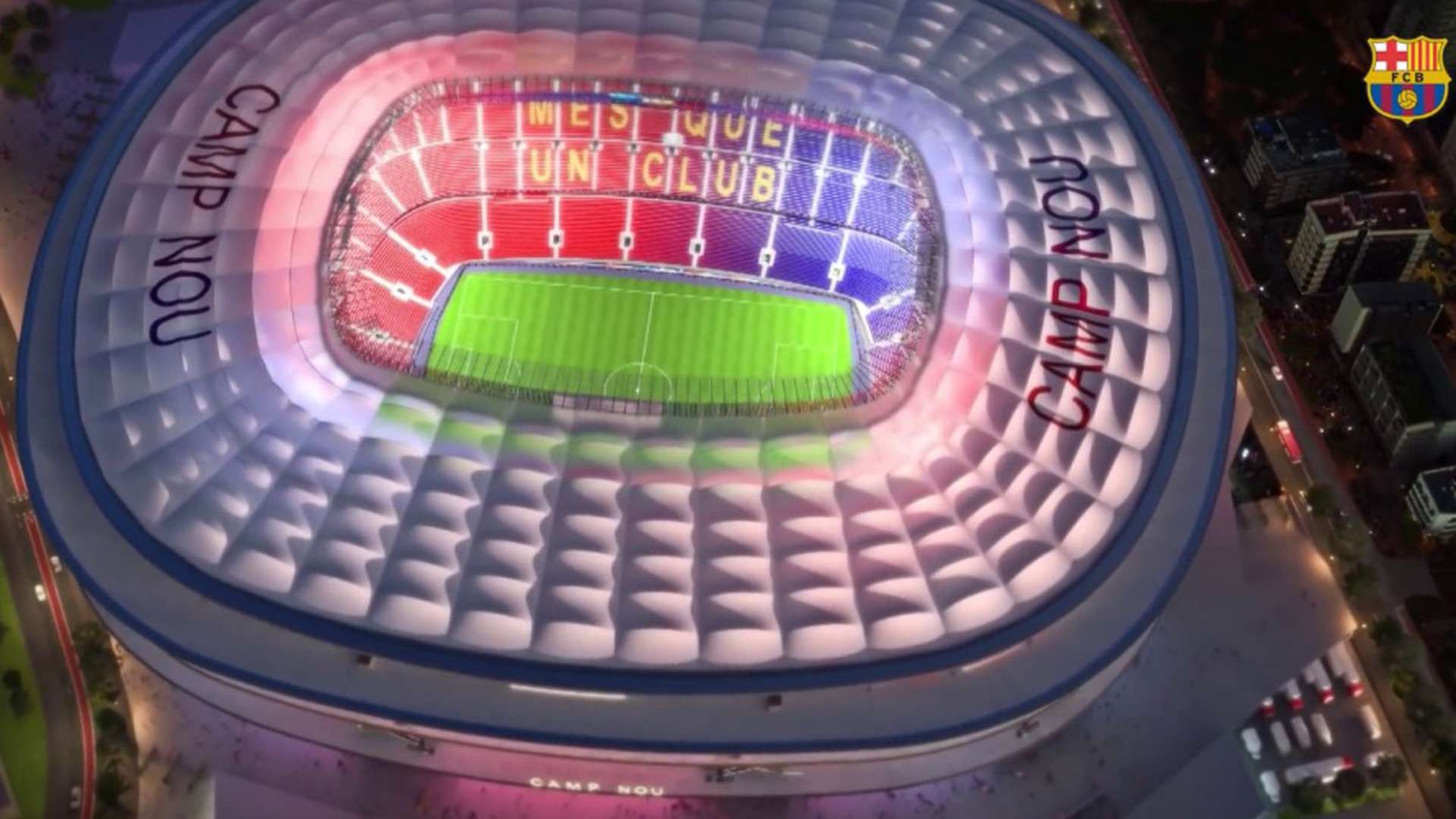 泳池中的蝶 泳池中的蝶