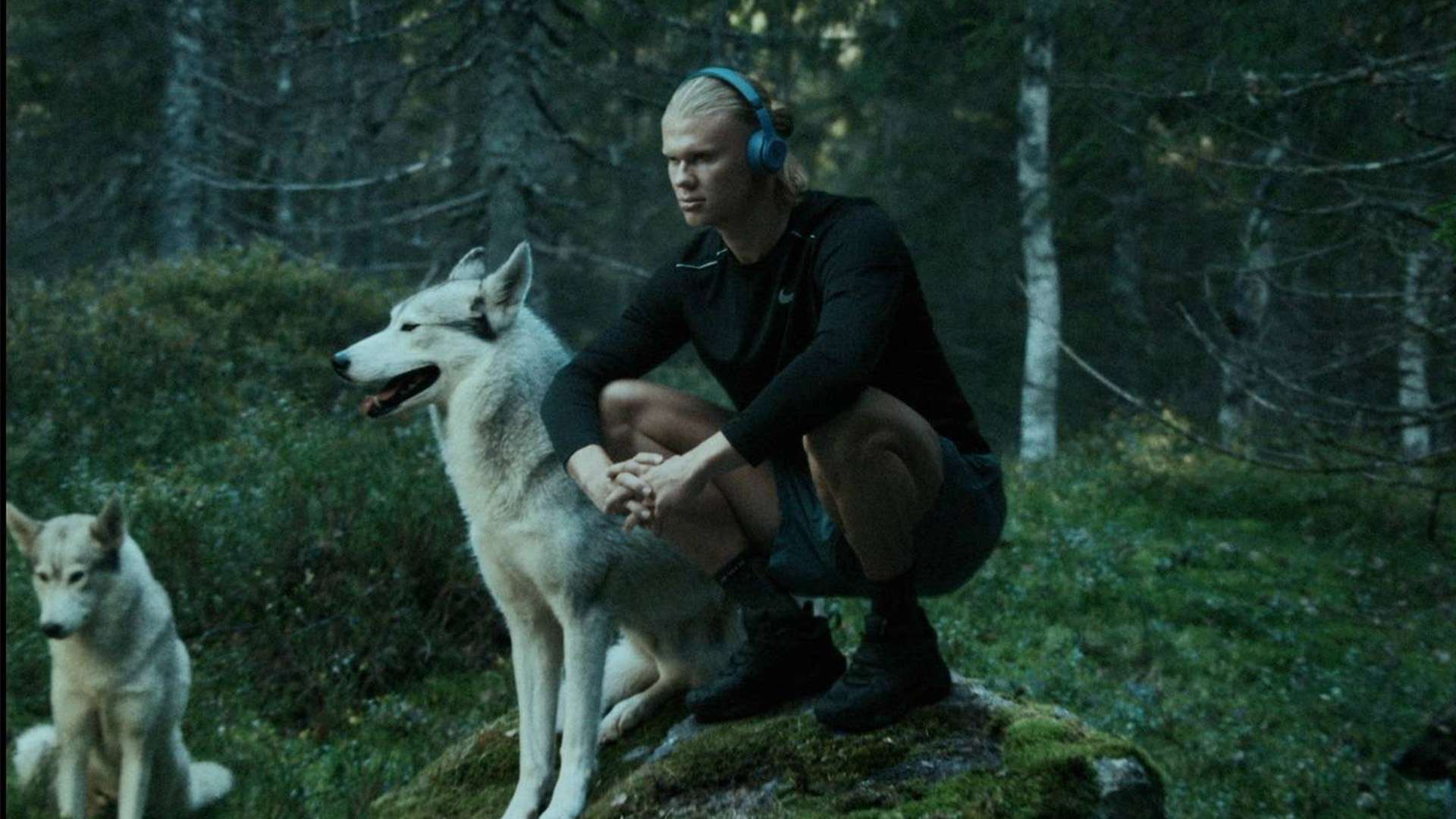 半点马虎 半点马虎